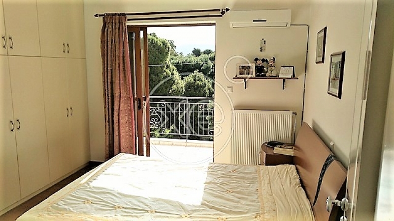 153847_379159_d.jpg
