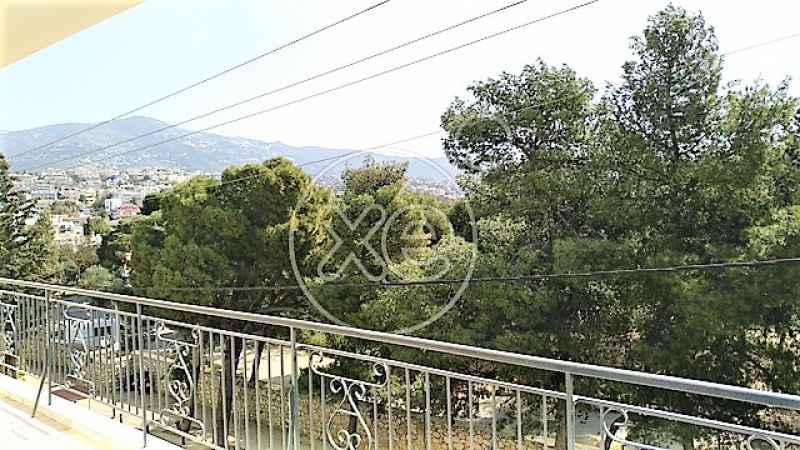 153847_877357_d.jpg