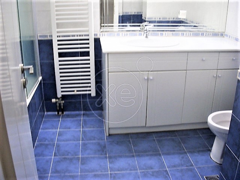 104147_681997_d.jpg