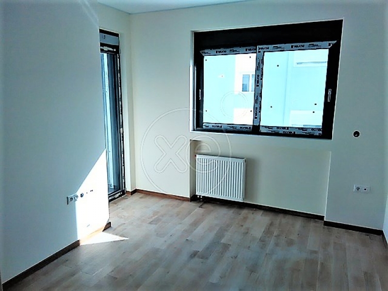 225430_115996_d.jpg