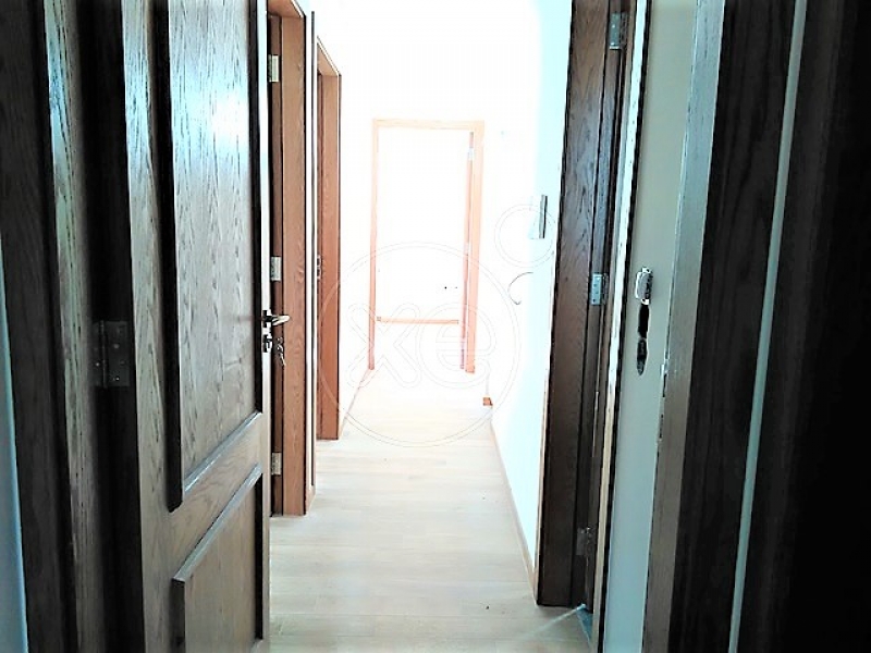 225430_398837_d.jpg
