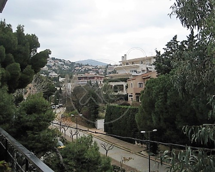 014525_425456_d.jpg