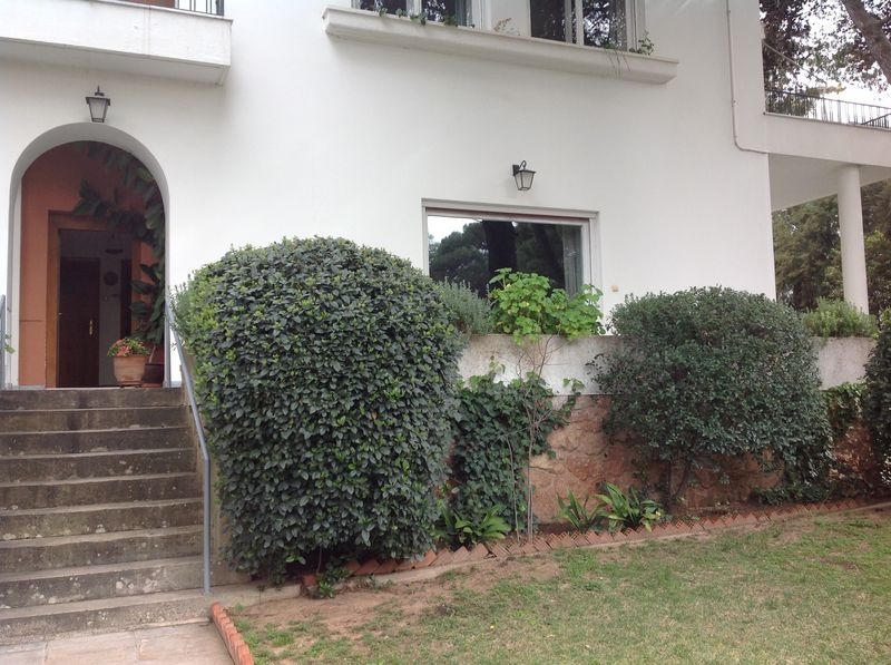 Image10.JPG