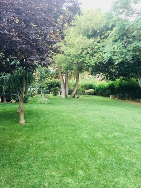 124652_120692_d.jpg