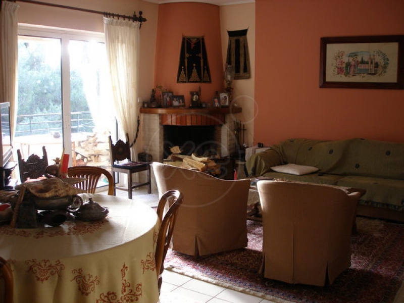 095859_003857_d.jpg