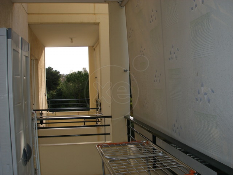 095859_416436_d.jpg