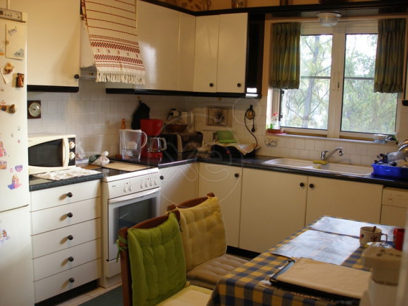 095859_629478_d.jpg