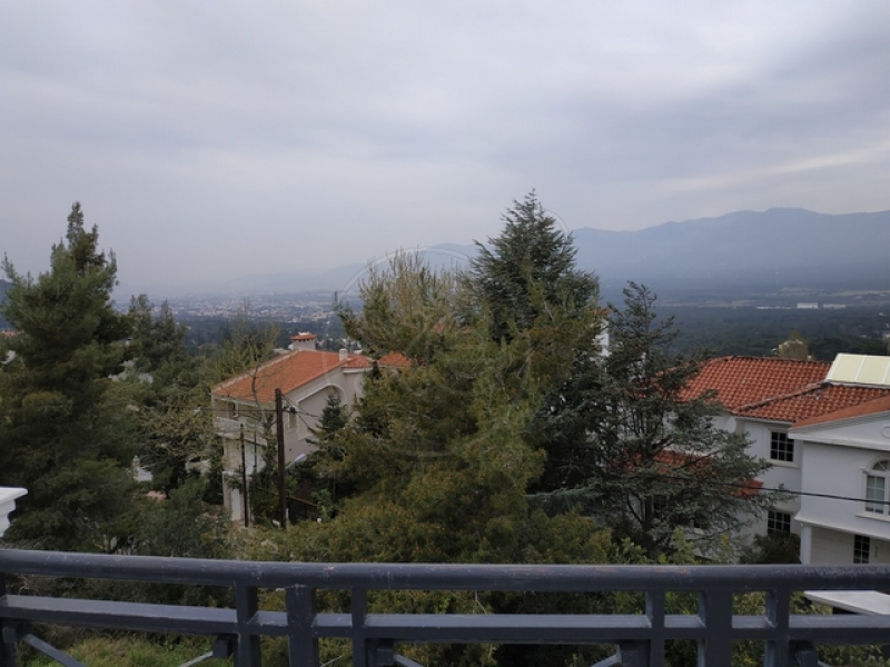 134048_478321_d.jpg