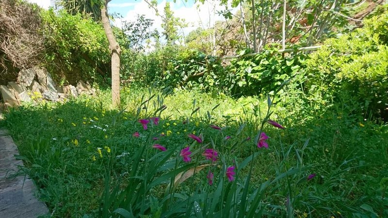 Image05.jpg