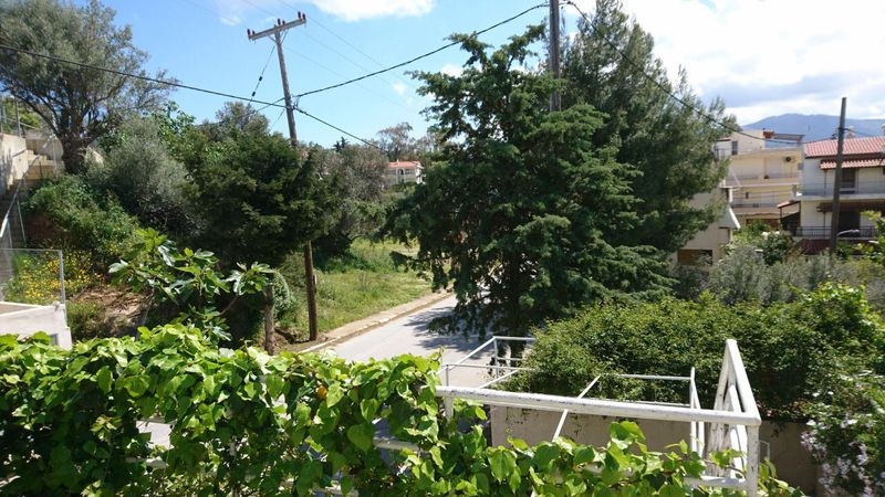 Image12.jpg
